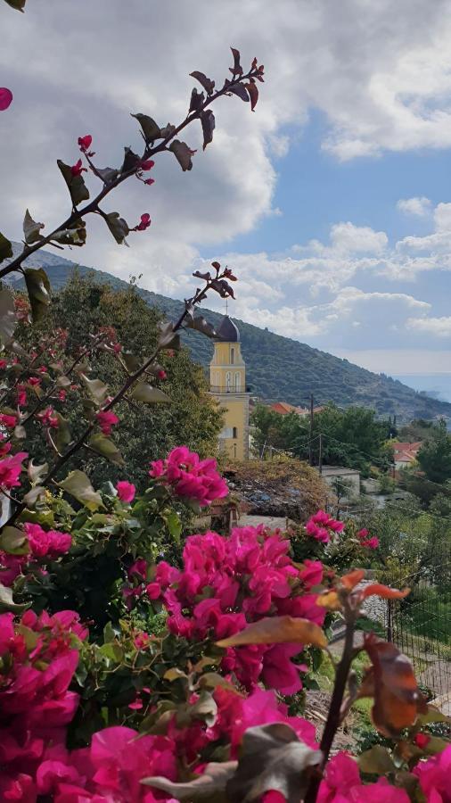 Villa Kokos Dilináta Kültér fotó