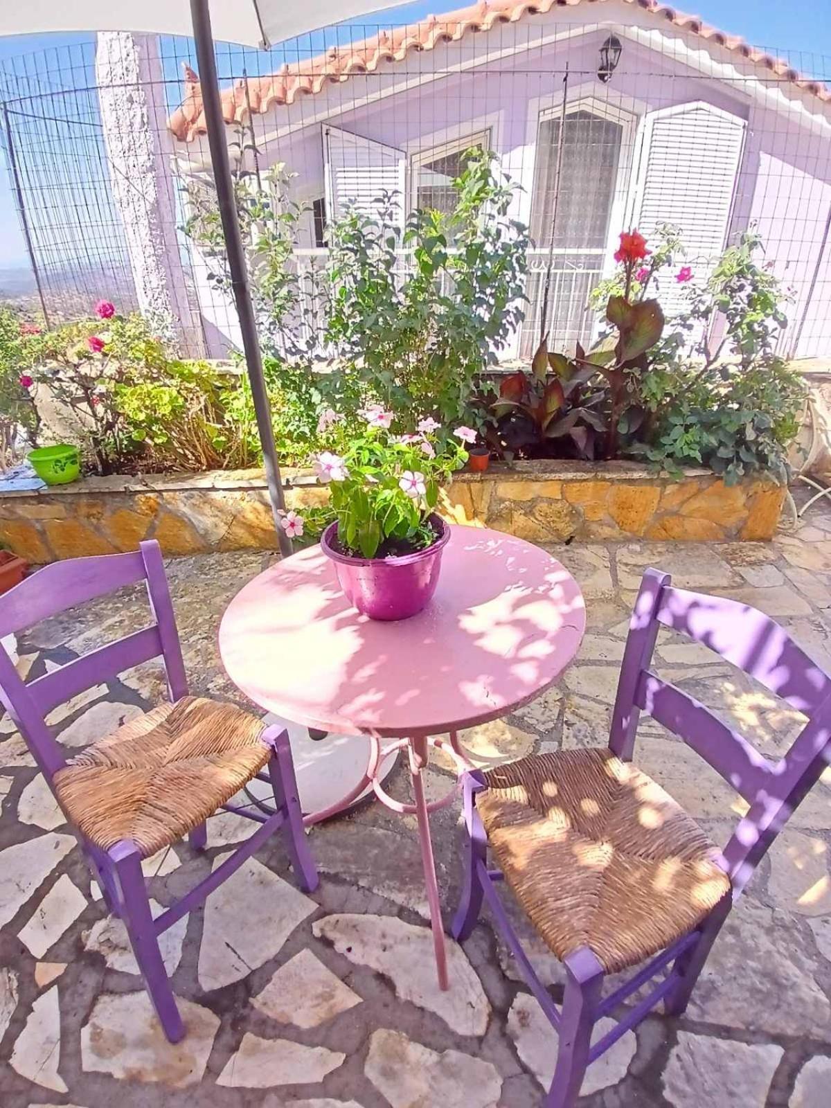Villa Kokos Dilináta Kültér fotó